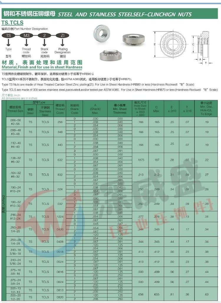 20pcs Rivet nut CLS-0420-0/1/2 Toothed Round nuts Bottom hole 304 stainless steel Imperial - (Size: 0420-0)