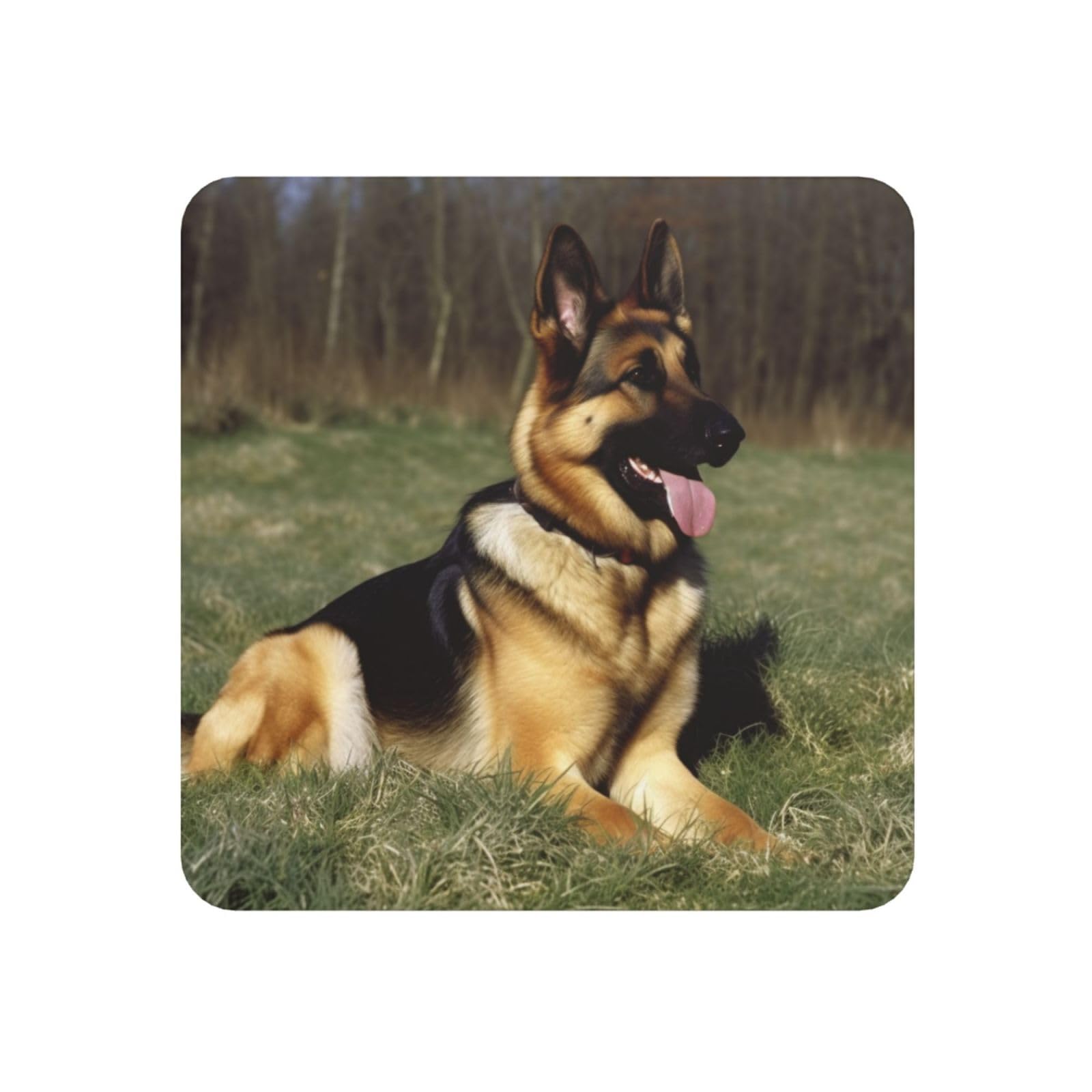 German Shepherd Dog Fridge Magnets Cute Strong Refrigerator Magnets Fun Magnet for Locker Office Whiteboard Decor, Door Magnets Decorative Magnetic Stickers for Home Decor