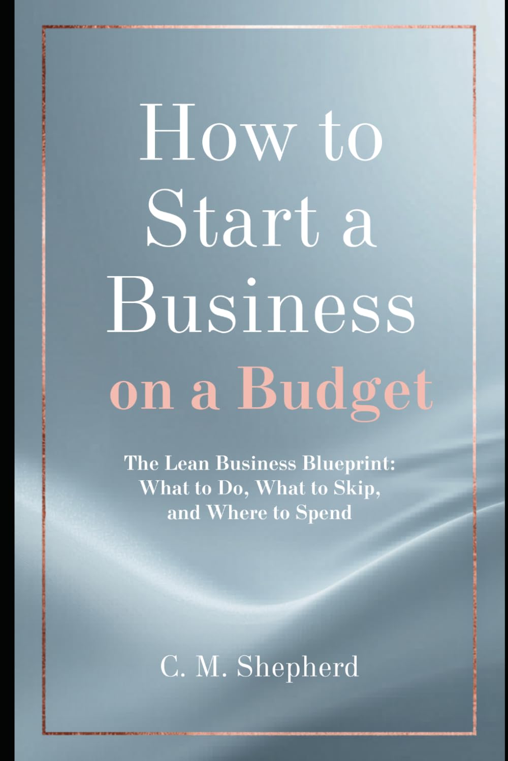 How to Start a Business on a Budget: The Lean Business Blueprint: What to Do, What to Skip, and Where to Spend
