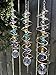 Colorful Spinning Sun Catcher with Crystals and Silver Accents – Outdoor Garden Decoration, Minimalist Gift for Garden Lovers (Clear)