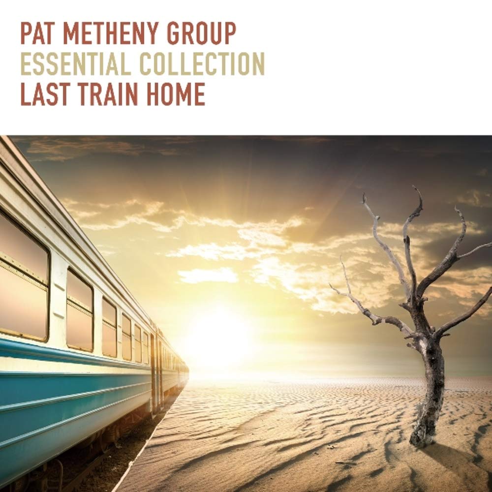 Essential Collection Last Train Home [Limited Pressing]