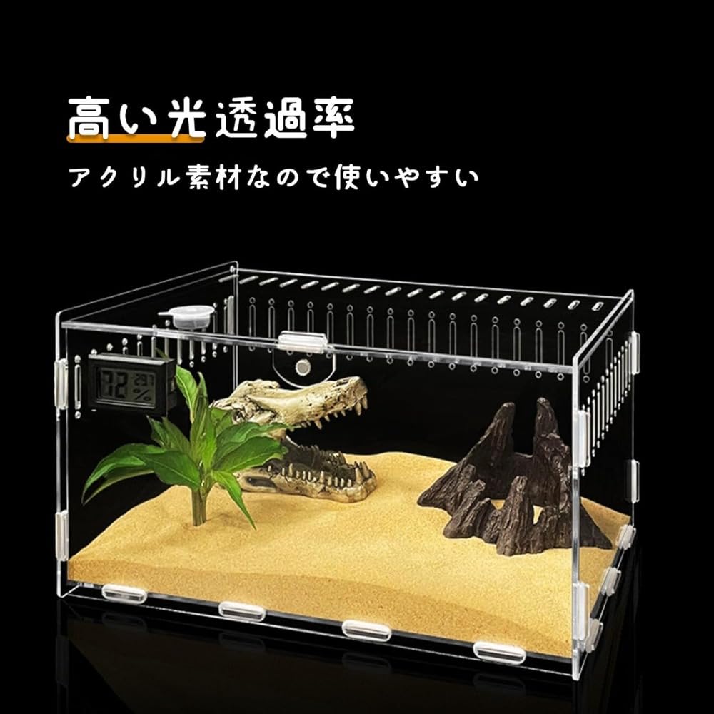 Amazon | Apaeofl爬虫類 ケージ トカゲ ケージ カナヘビ飼育ケース