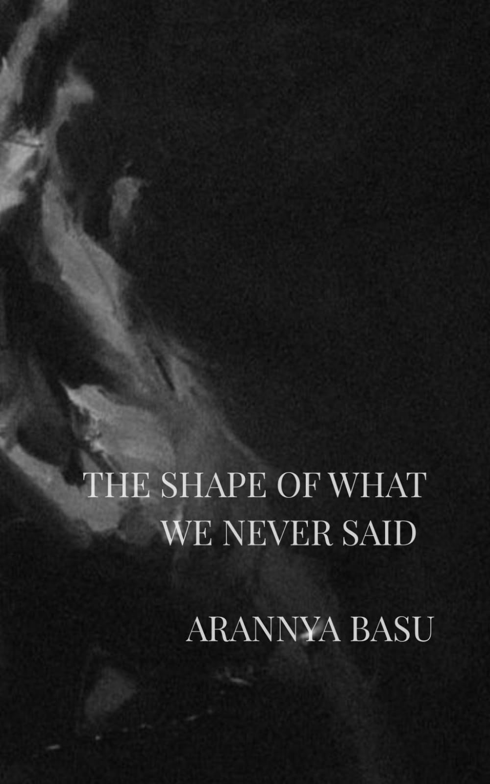 The Shape of What We Never Said