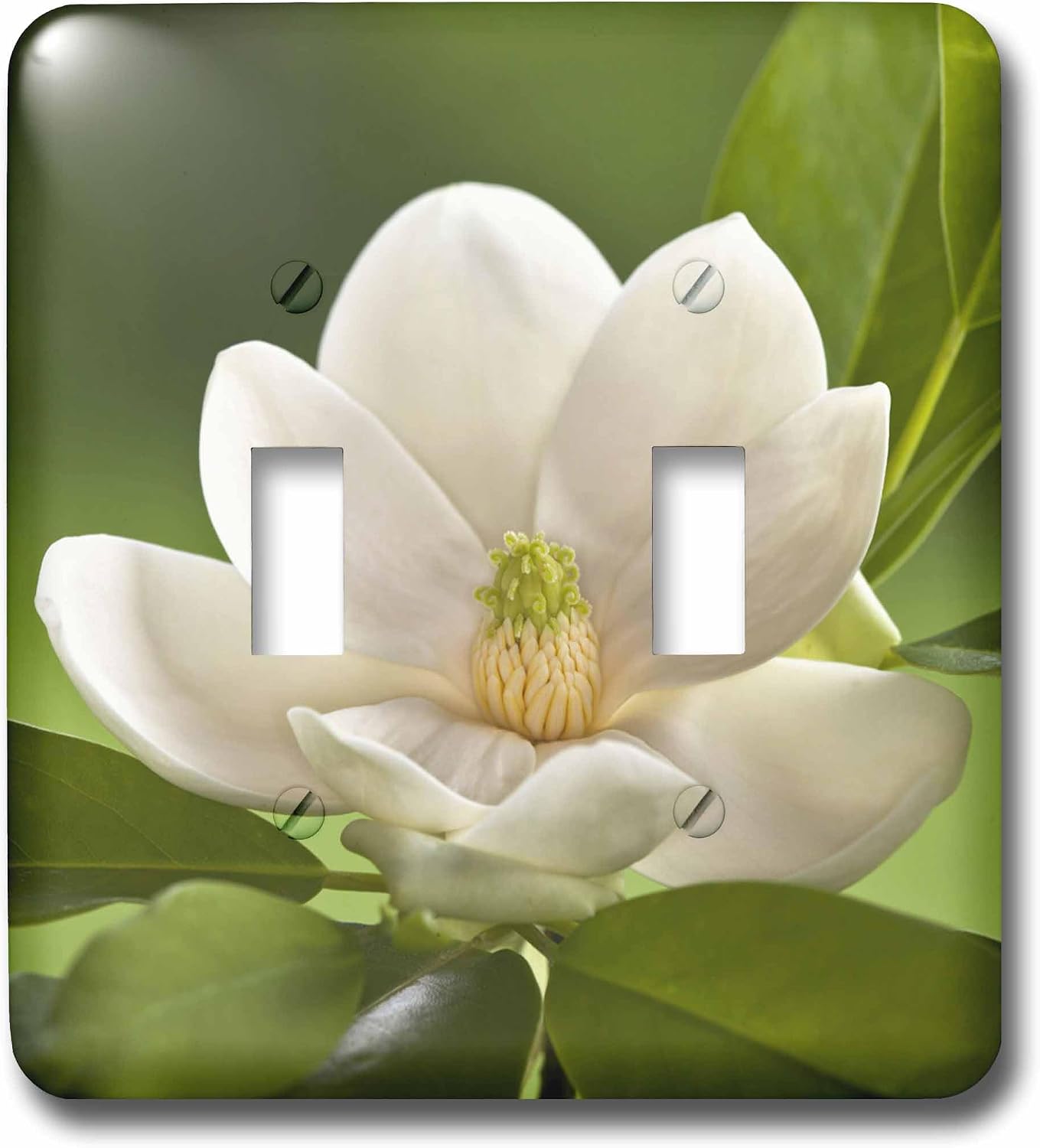 3dRose lsp_83297_2 Magnolia Tree Flower Blossom Na01 Aje0188 Adam Jones Double Toggle Switch