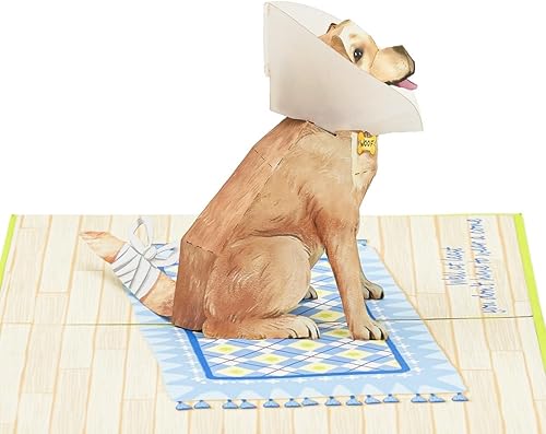 Miniatura 4 de Liif Tarjeta de felicitación 3D emergente de recuperación, tarjeta de recuperación pronto (perro de conejo)