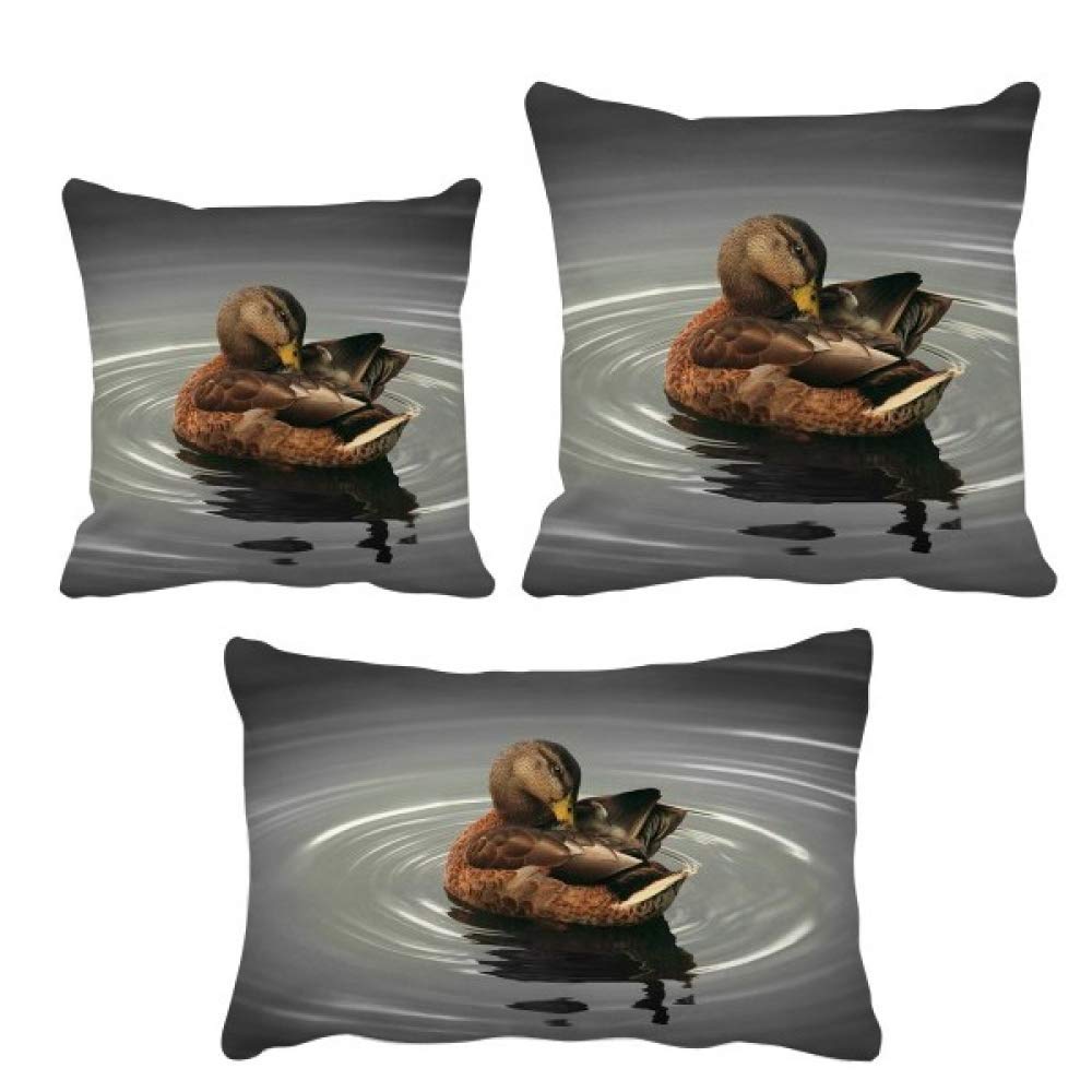 Housse de coussin photo cygne pour sublimer votre décoration de canapé