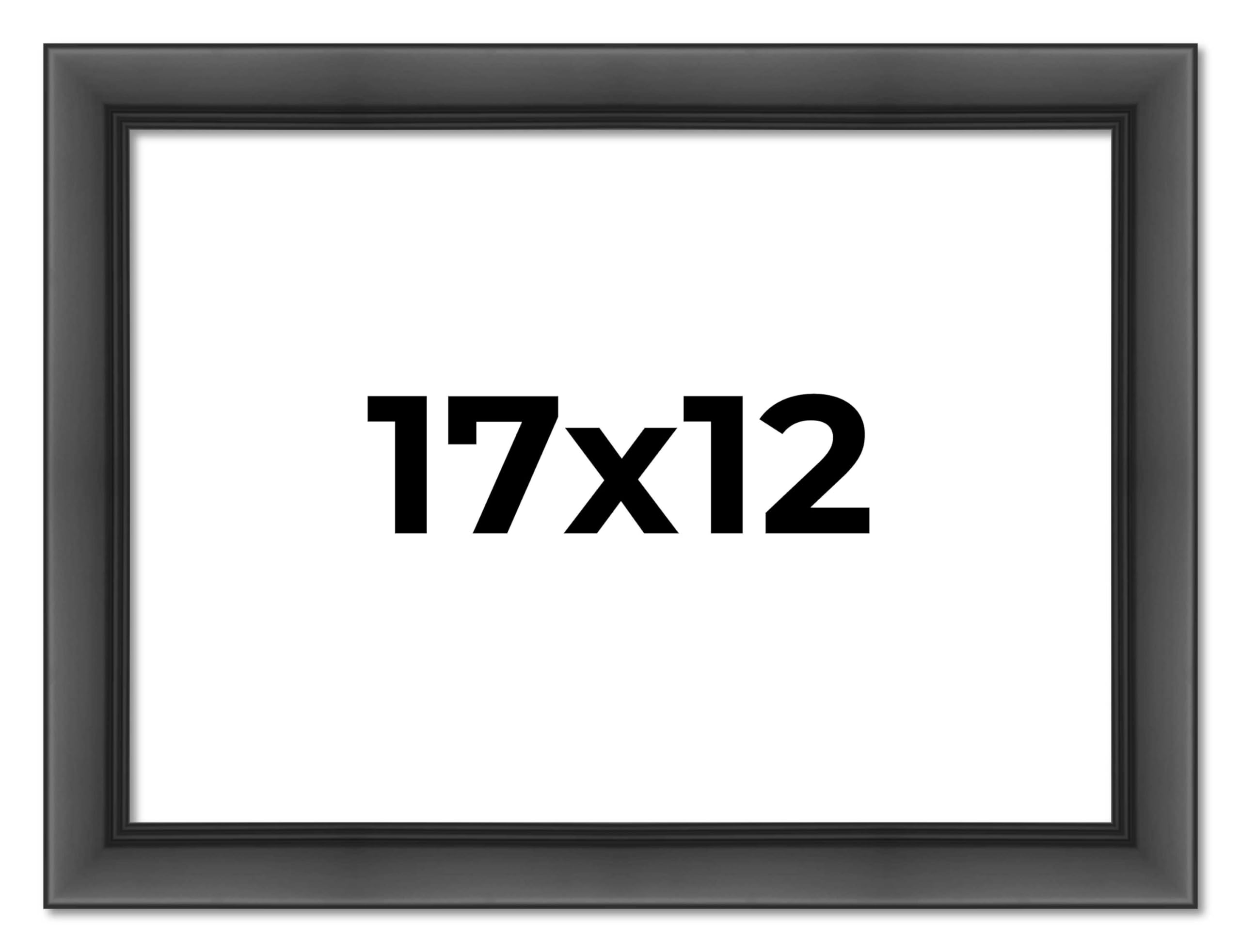 Amazon.co.jp: 17x12 フレーム ブラック コンテンポラリー