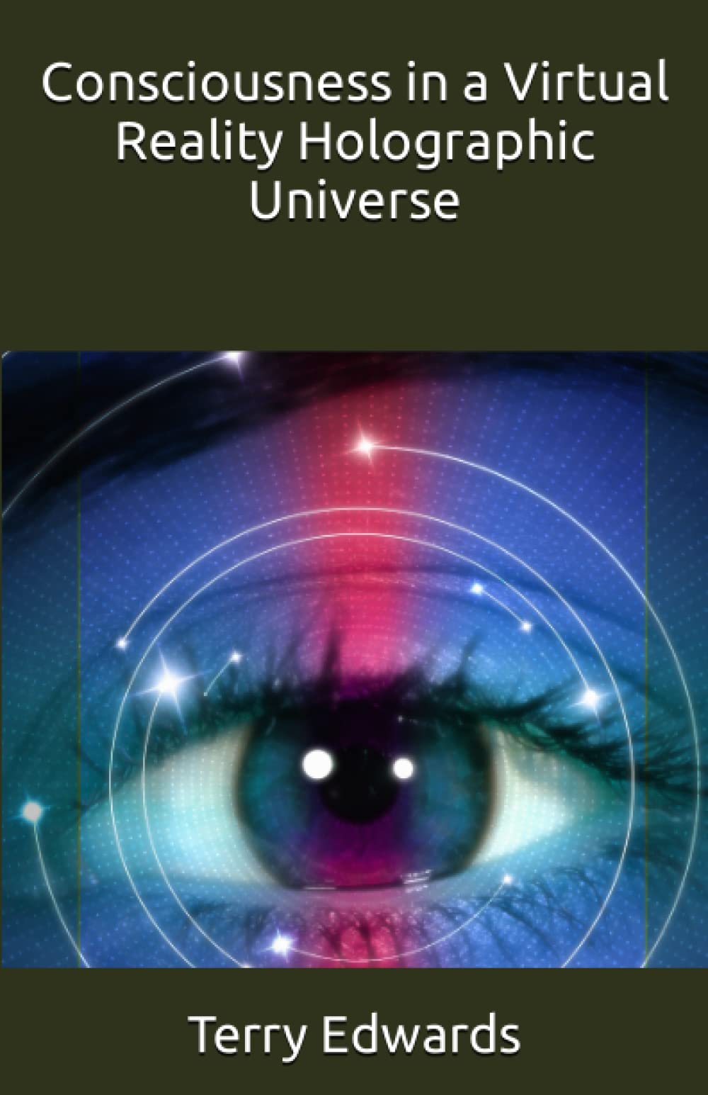 Consciousness in a Virtual Reality Holographic Universe