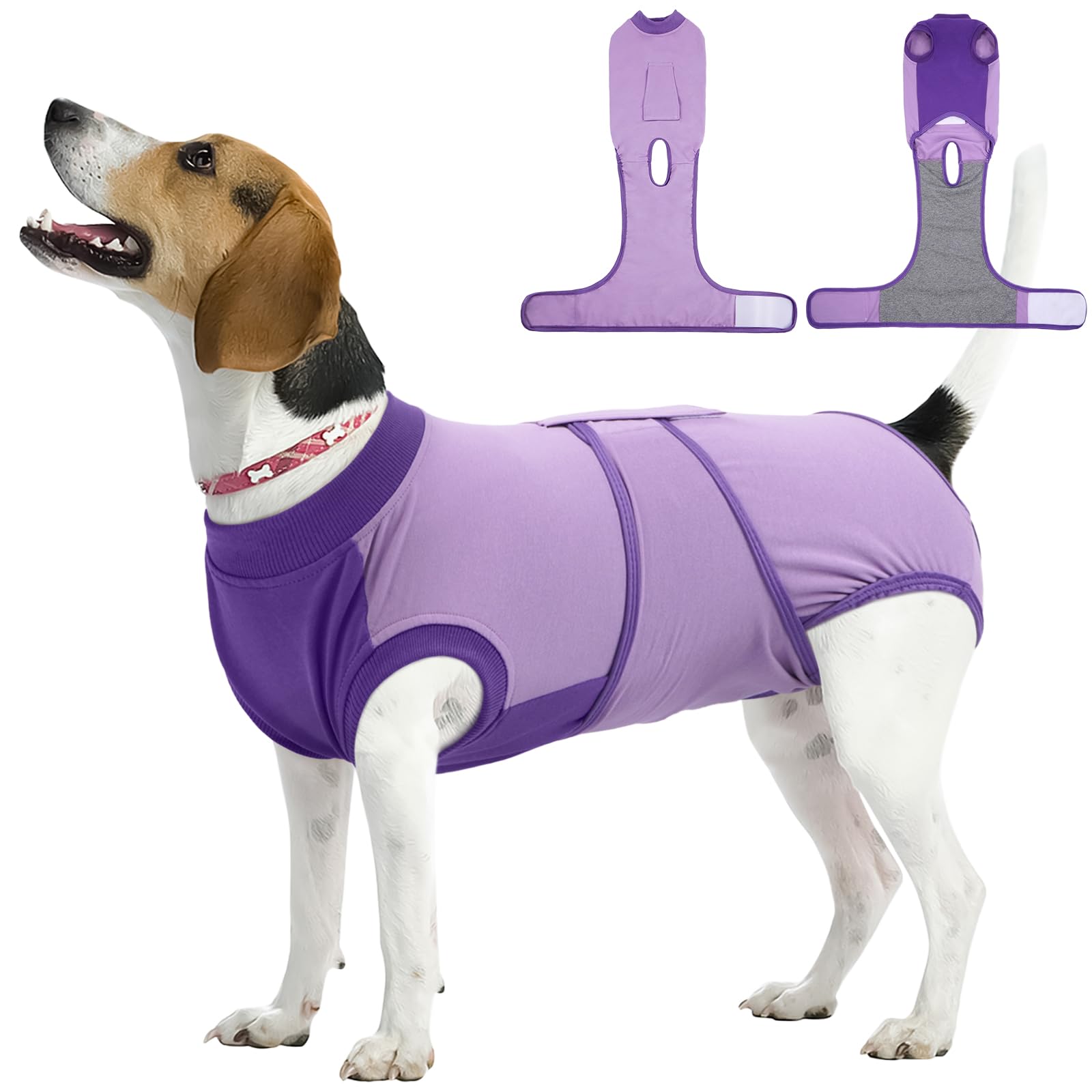 Kuoser Dog Recovery Suit, Female Male Spay Neuter Surgery Suit, Purple, M