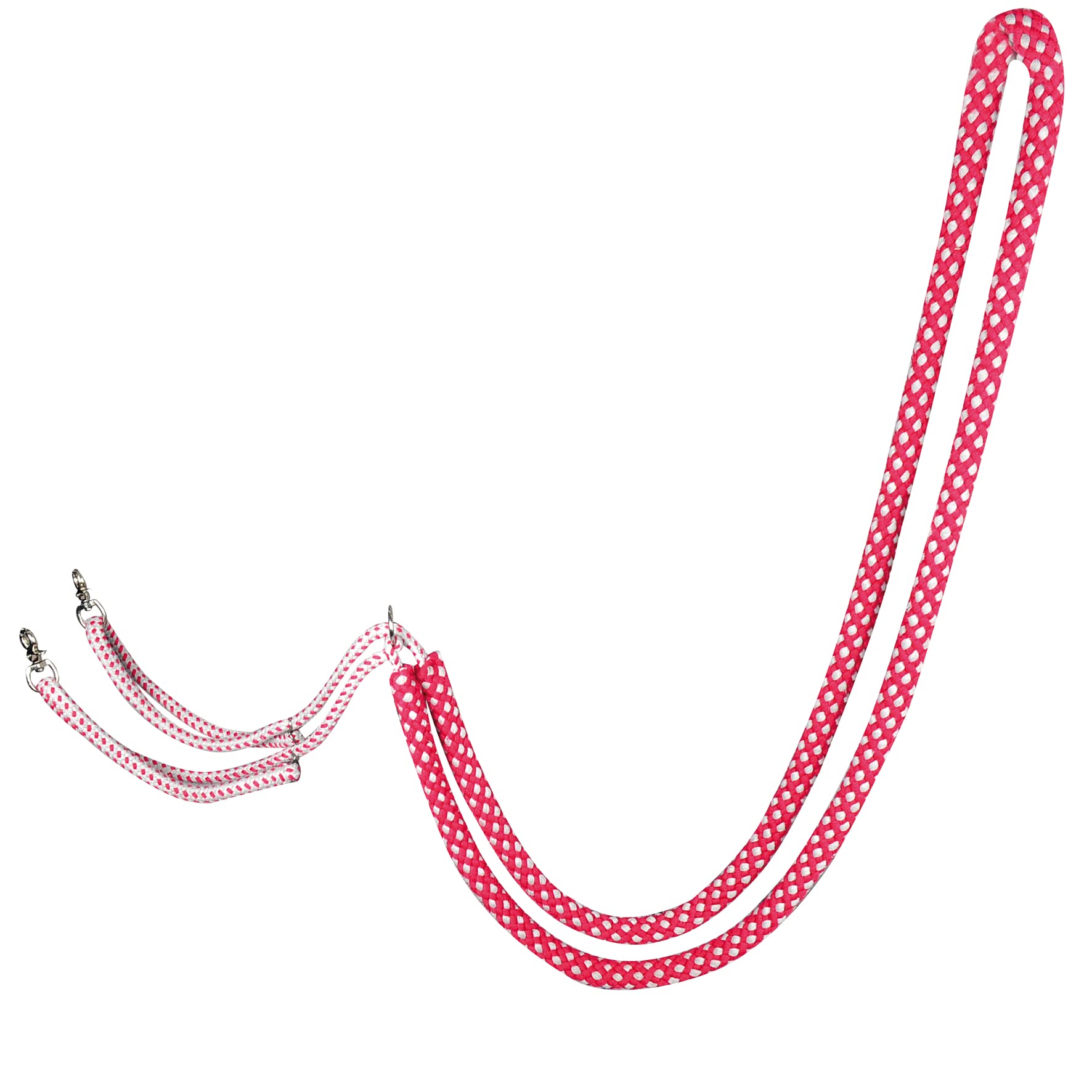 CBL Lunging Aid