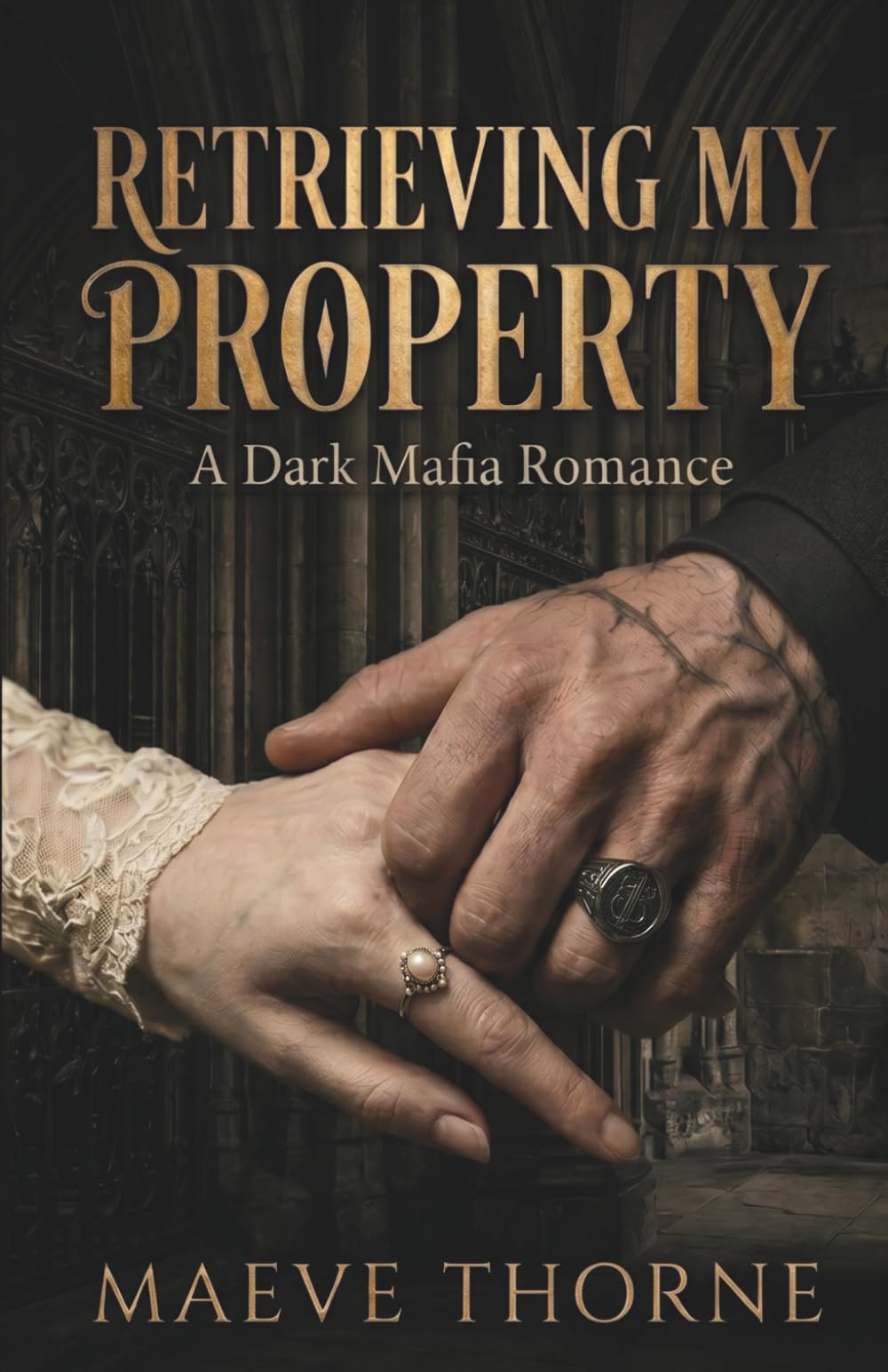 Retrieving My Property: A Dark Mafia Romance