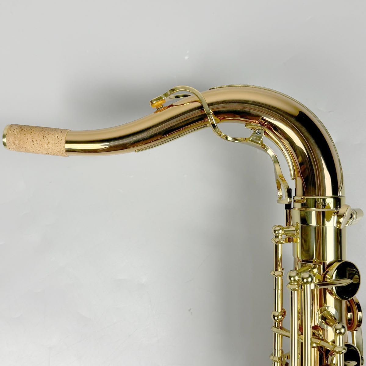 Amazon.co.jp: YANAGISAWA T-WO20 テナーサックス ブロンズブラス製 