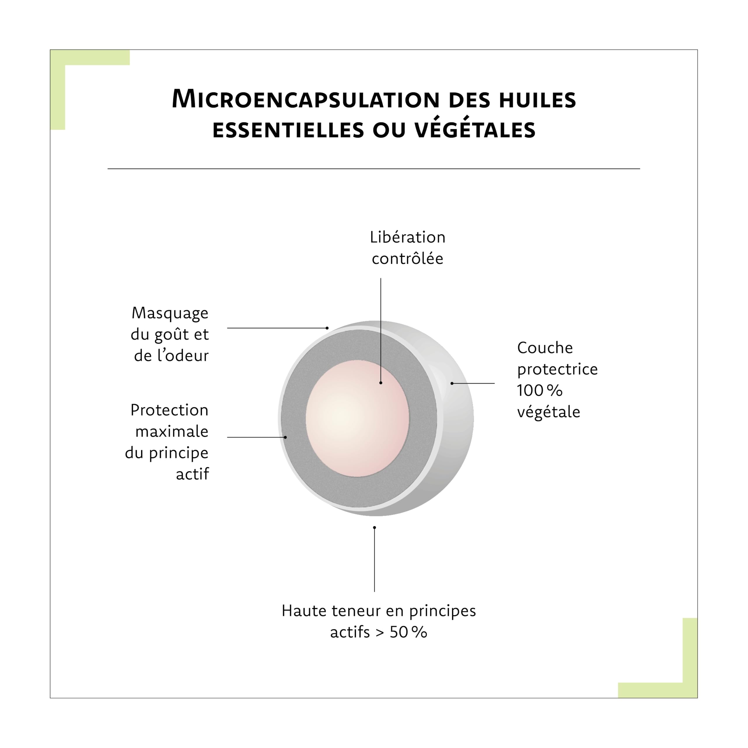 ARAGAN - Synactifs Lot de 2 CaloriProtect - Complément Alimentaire Minceur - Gymnema, Poudre de Caroube, Nopal, Huile Essentielle de Mandarine - 120 gélules - 1 à 4 mois de prise - Fabriqué en France