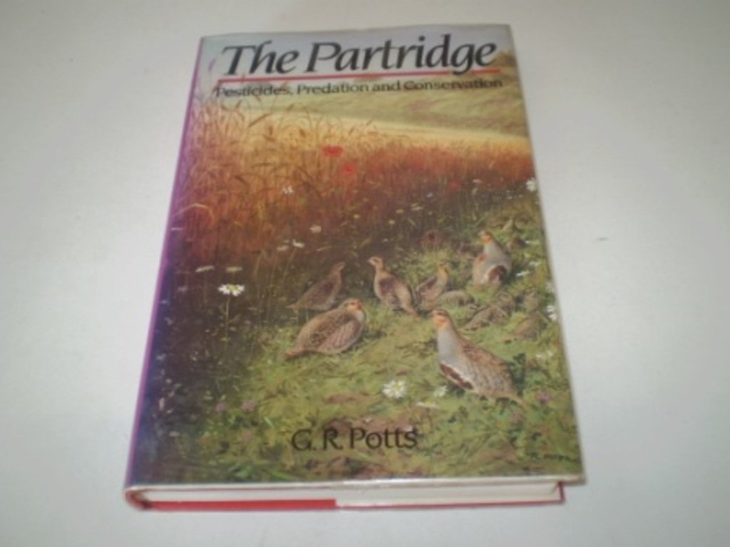 The Partridge