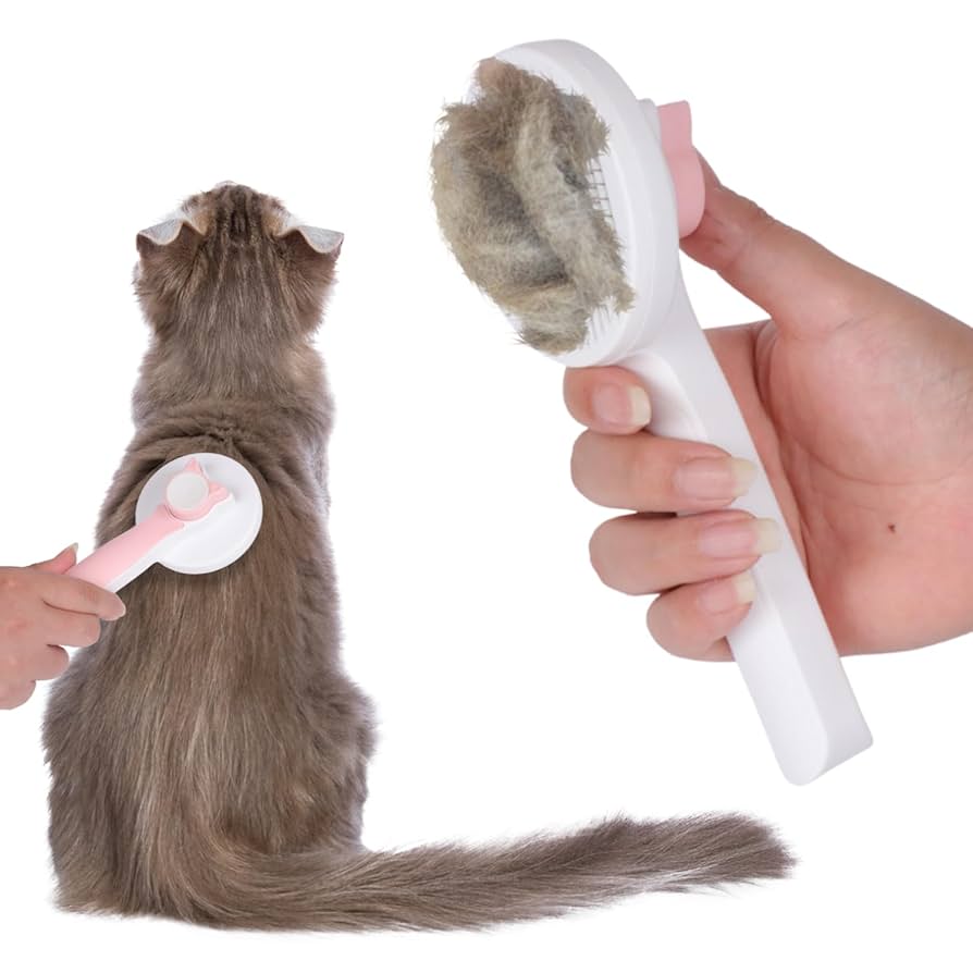 give_me_frog_ページ Best Practices For Brilliant 404 Pages