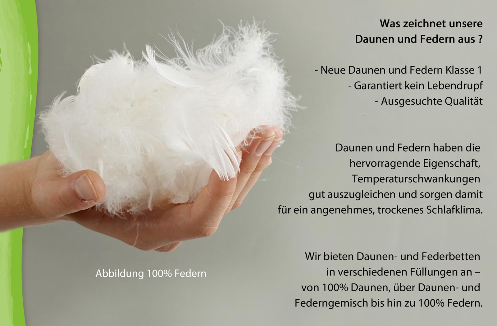 franknatur - 2X Kopfkissen 80x80 100% Gänsefedern Kissen Claudia