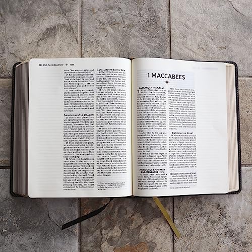 nrsvue holy bible with apocrypha journal edition leathersoft black comfort print