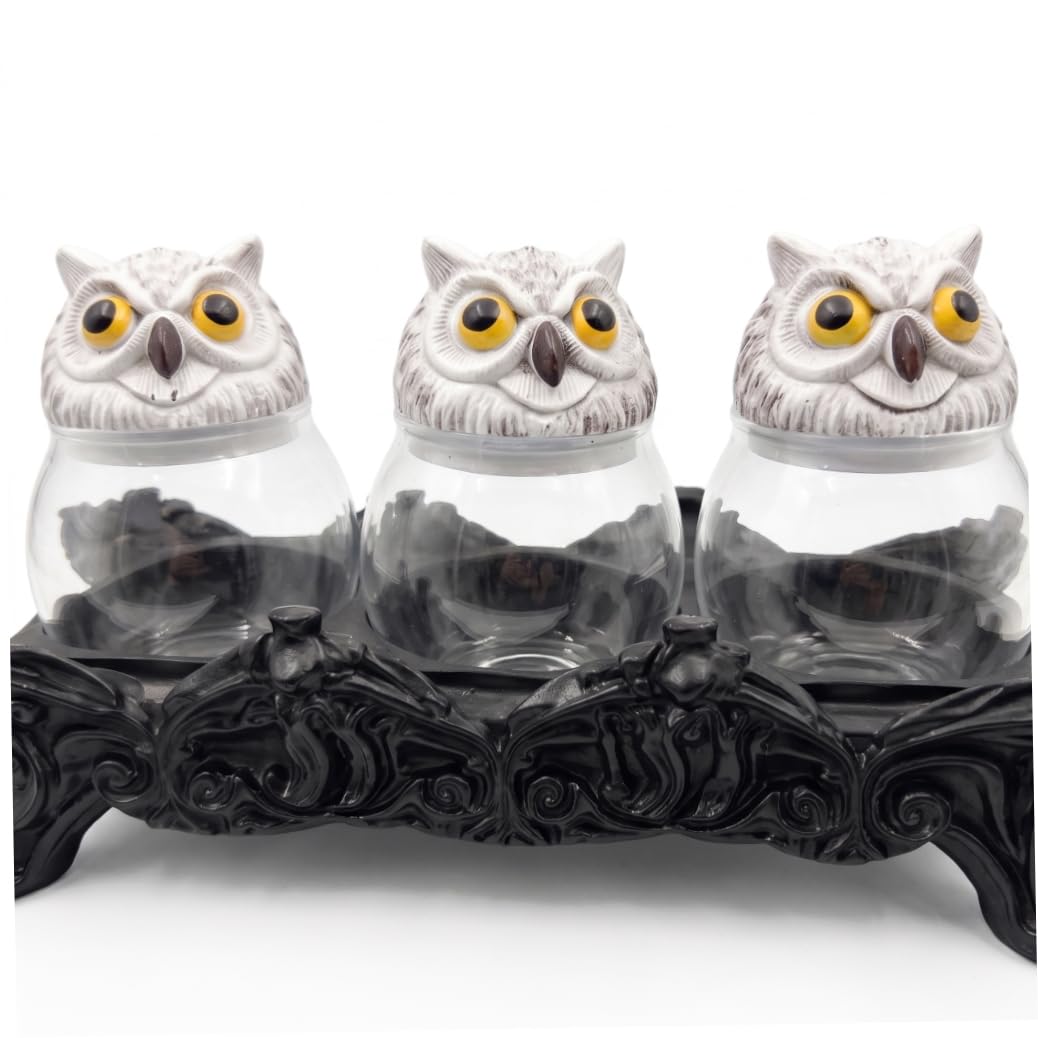 Sjfbebsy Apothecary Jars with Lids, Seasoning Containers - Handcrafted Witchy Owl Design, Clear Glass Jar With Carved Resin Base, Black