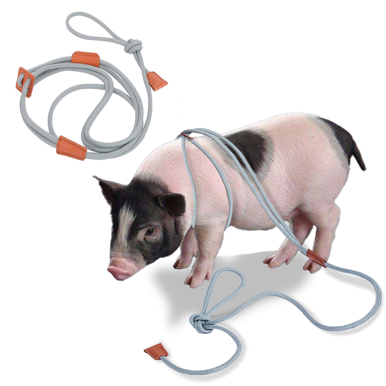 Pig Harness & Leash, Escape Prevention Adjustable Rope, All in One Design, All Life Stages Small to Medium Mini Pigs-5 Feet Long-Grey