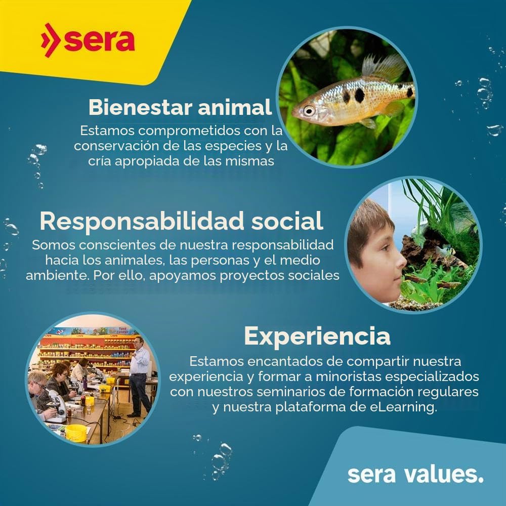 Sera pleco Chips 1 L (380 g) | alimento Principal para ancistrus y loricáridos | Chips Que se Hunden rápidamente para siluriformes raspadores y succionadores | con Fibras para una digestión Sana