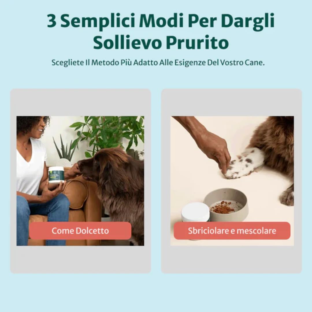 DogSuppy Sollievo Prurito Probiotici Forte per Cani – Ferma Prurito, Grattamento, Leccamento delle Zampe e Mangiare l’Erba, Allevia Allergie e Lieviti, 100% Naturale, Sostiene Intestino e Immunità