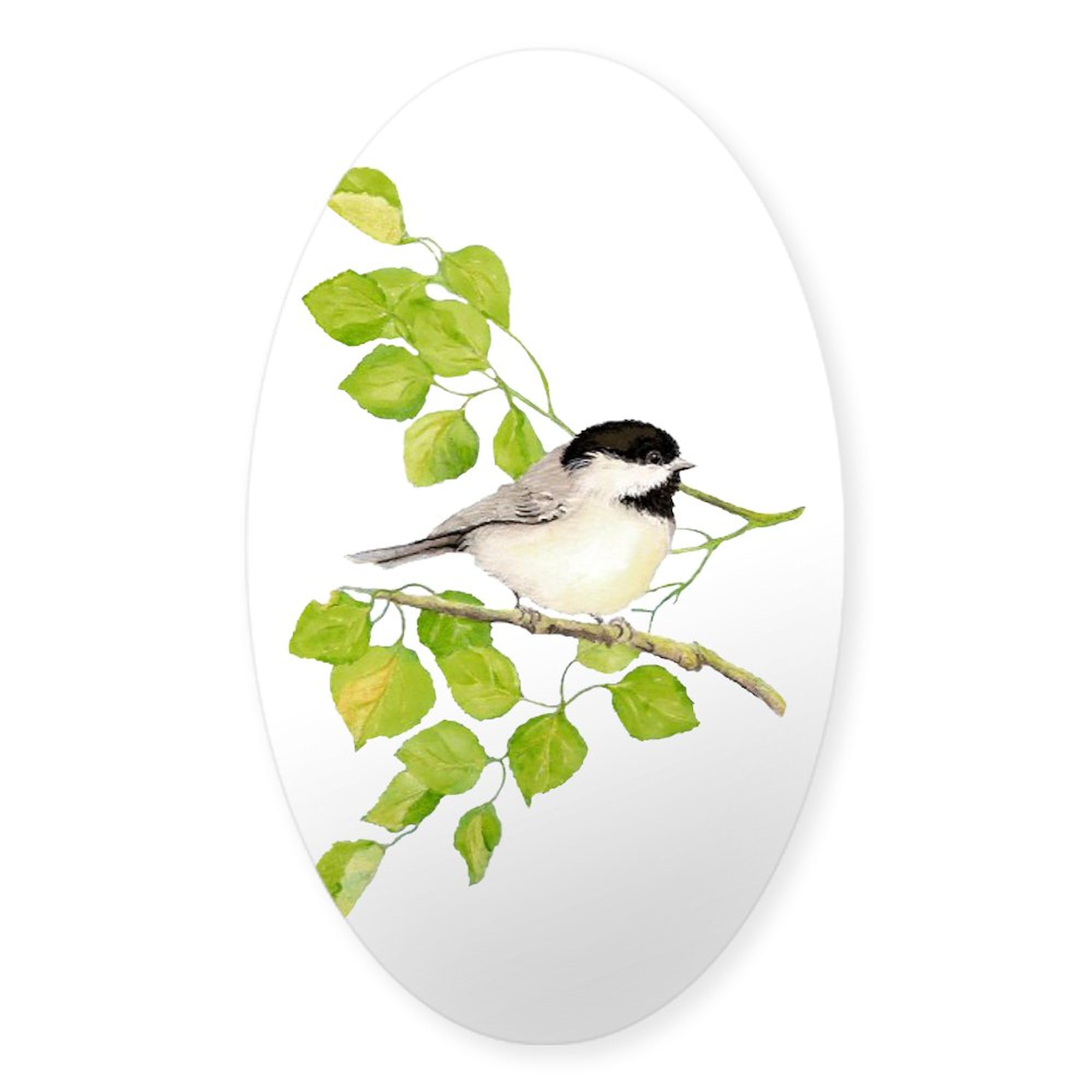 CafePress Watercolor Chickadee Bird in Poplar Tree Sticker Oval Car Bumper Sticker