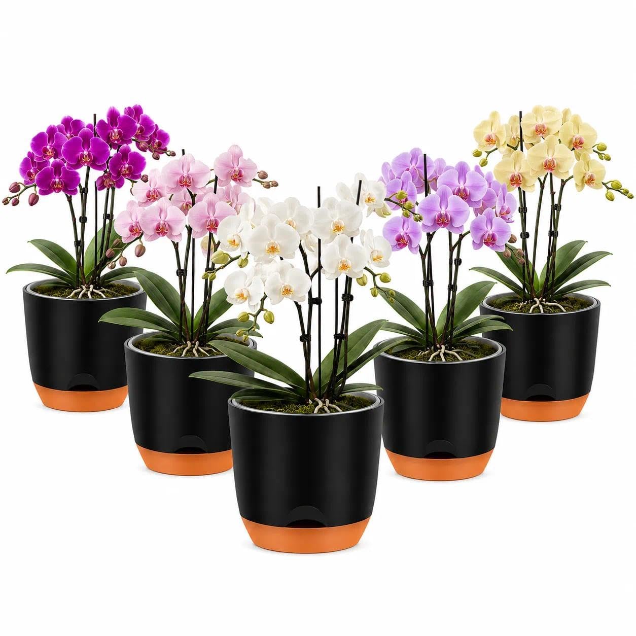 QCQHDU 5.7Inch Orchid Pots with Holes for Repotting, Double-Layer Plastic Self Watering Flower Pots for Indoor Plants with Drainage Holes, Clear Orchid Pot Match Decorative Orchid Container, 5 Packs — image 1