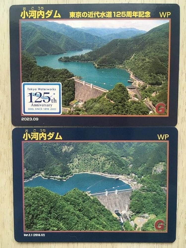 Amazon.co.jp: 東京都 小河内ダム ダムカード125周年記念配布通常