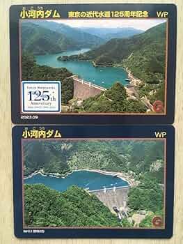 小河内ダム　竣工記念　写真集 昭和の東京シリーズ 特別編 都政録映像「小河内ダム」公開記念