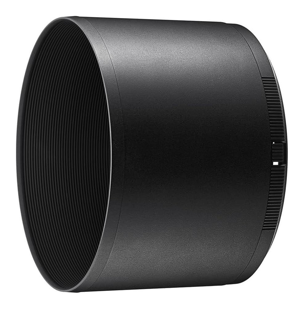 NIKKORAF-P 10-20 4.5-5.6 フィルター付 Amazon.com : Nikon AF-P DX NIKKOR 10-20mm f/4.5-5.6G VR Lens