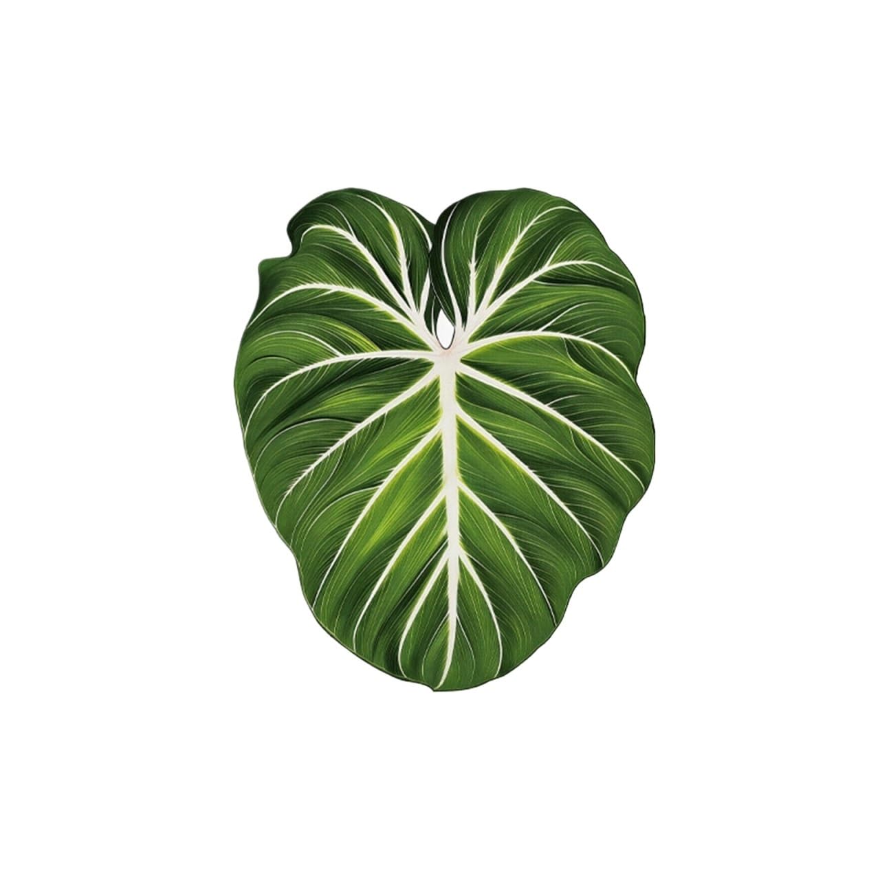 Coaster 3pcs Tropical Green Plant Cup Mats Anti Slip Holders Kitchen Drink Coasters(Color5)