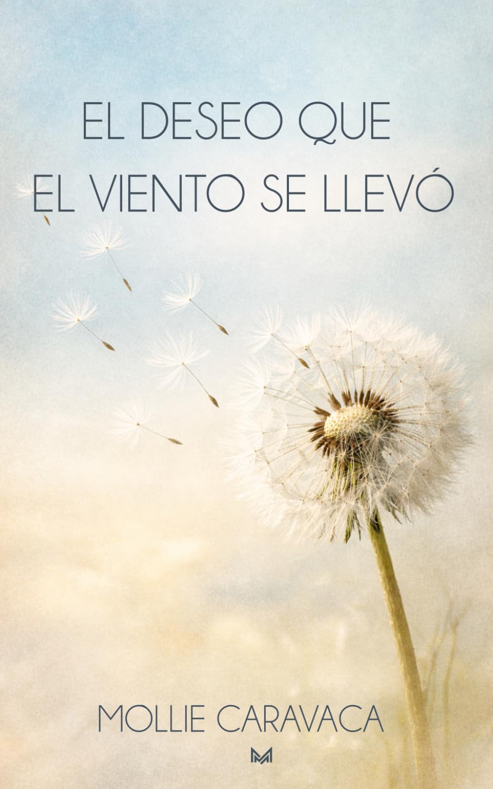 EL DESEO QUE EL VIENTO SE LLEVÓ
