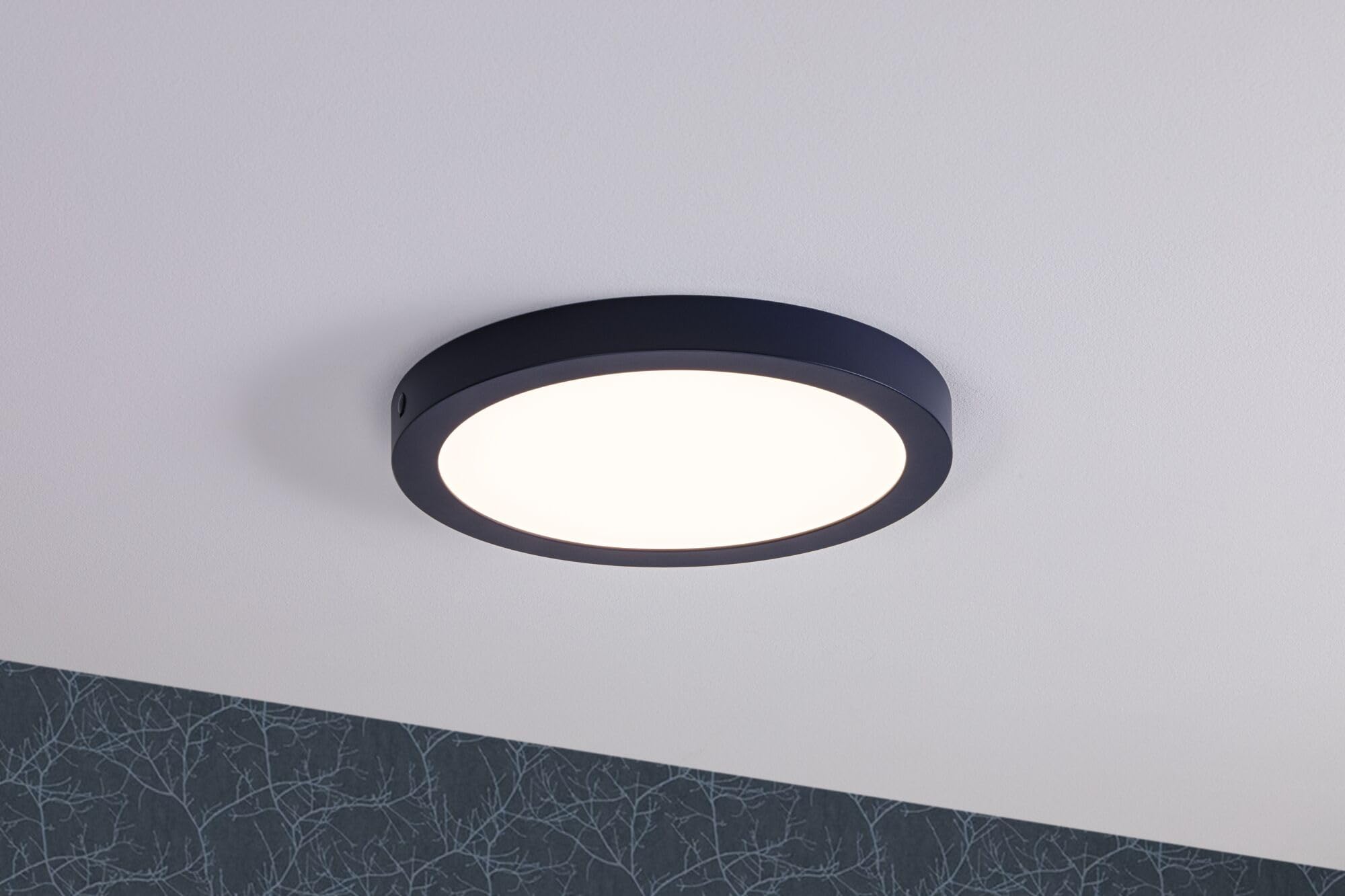 Paulmann Abia 70986 LED Panel 300 mm Warm White Round Including 1 x 22 Watt Matte Night Blue Ceiling Light Plastic 2700 K - Image 4