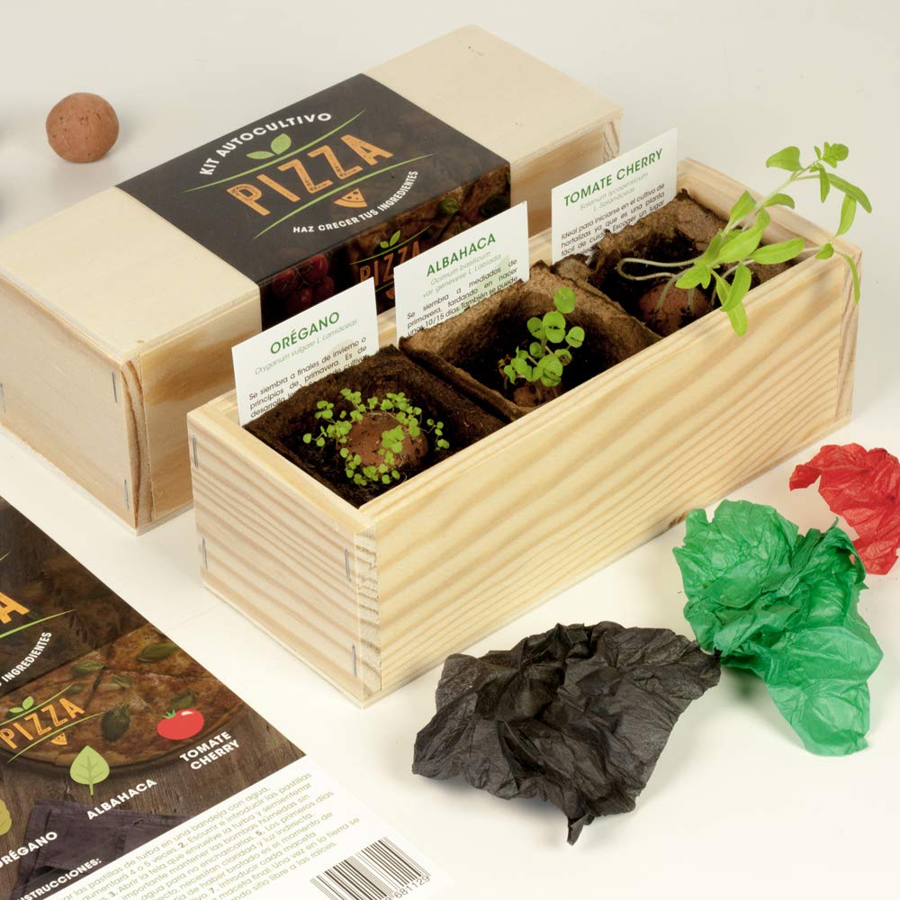 Kit Autocultivo | Pizza | Orégano, albahaca y tomate cherry.