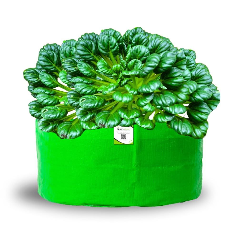 ORGANIC BAZAR 18x9 Leafy Grow Bag for Vegetables Garden, Premium HDPE 260 GSM Green Plant Bags (Pack of 1)