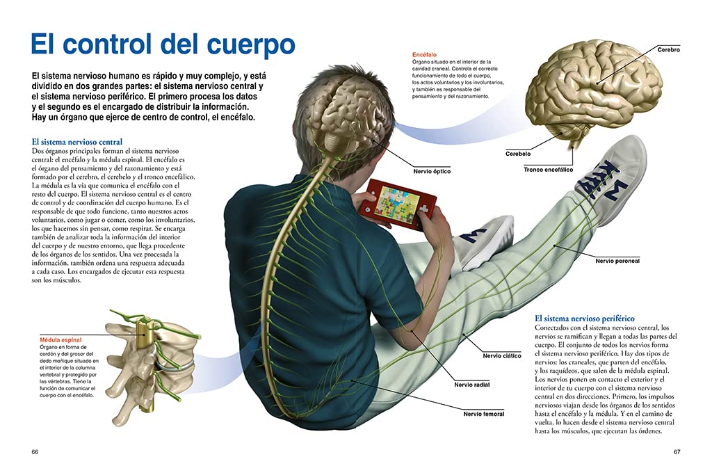El cuerpo humano: Un apasionante recorrido por el universo de nuestro organismo (National Geographic Kids)