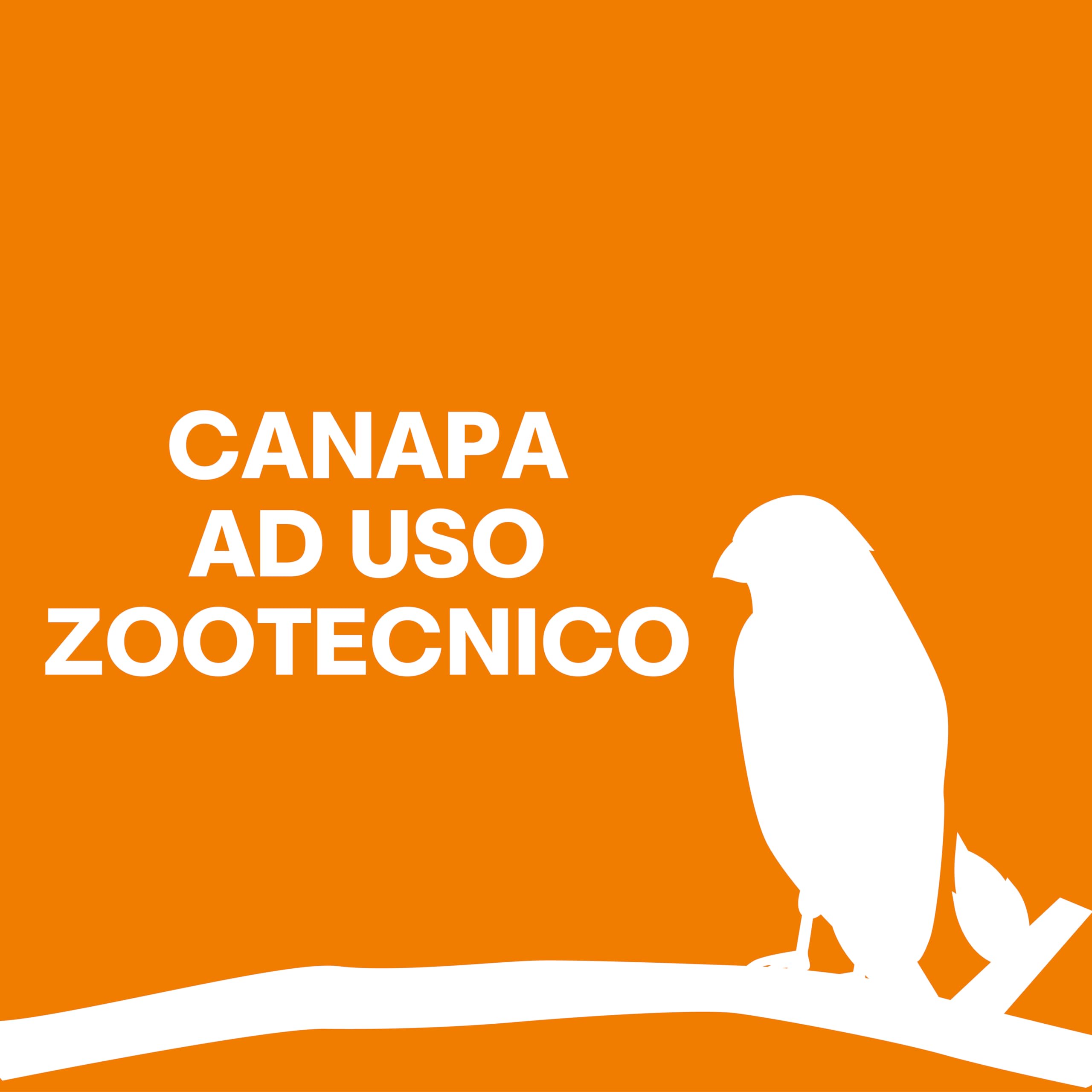 Il Contadino - Antichi Becchimi | Canapa AD Uso ZOOTECNICO | Essenza di Semi Selezionati e Super Ventilati, No OGM, 100% Vegetale, Assenza di scarti. qualità Superiore (20 kg)