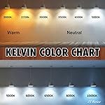 Review Image by JT JT