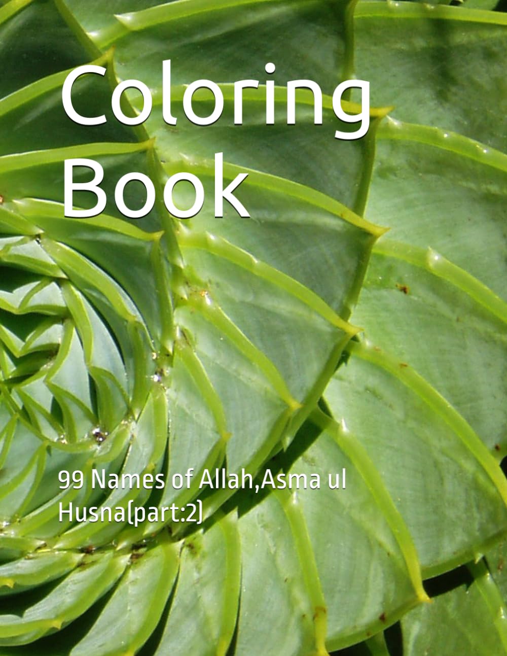 Coloring Book: 99 Names of Allah,Asma ul Husna(part:2)