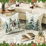 Zoom IMG-1 hiqe fl 4 pezzi cuscini Zoom IMG-1 hiqe fl 4 pezzi cuscini