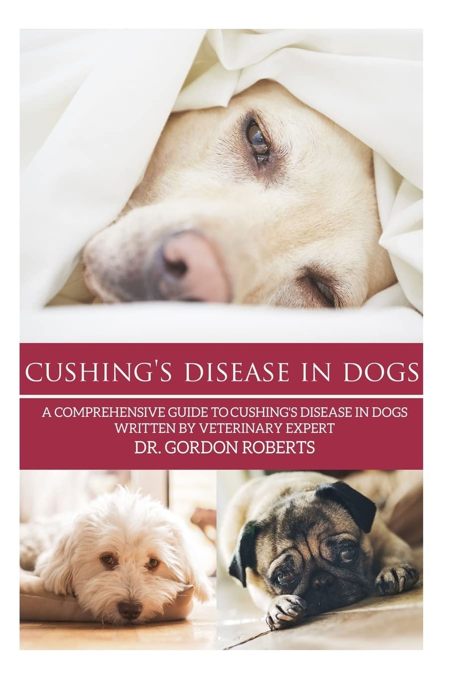 Buy Cushing's Disease in Dogs A Comprehensive Guide to Cushing's