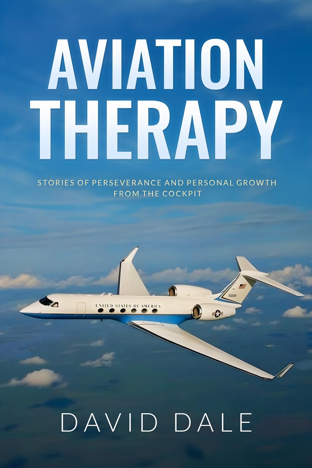 Aviation Therapy: Stories of Perseverance and Personal Growth from the Cockpit