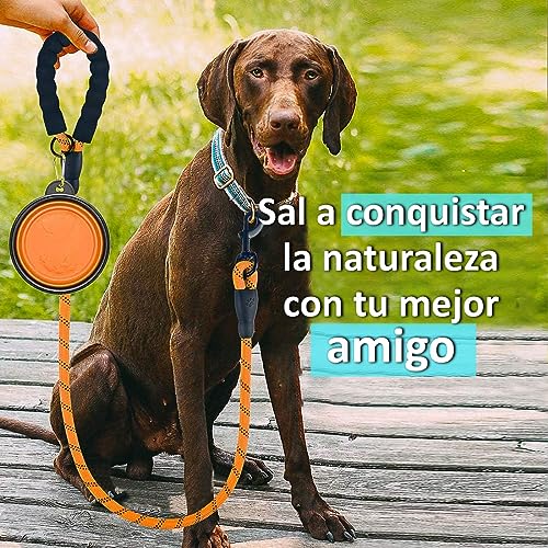 La mejor comparación de Correas para perros , listamos los 10 mejores. 14 Imagen adicional