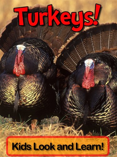 Turkeys! Learn About Turkeys