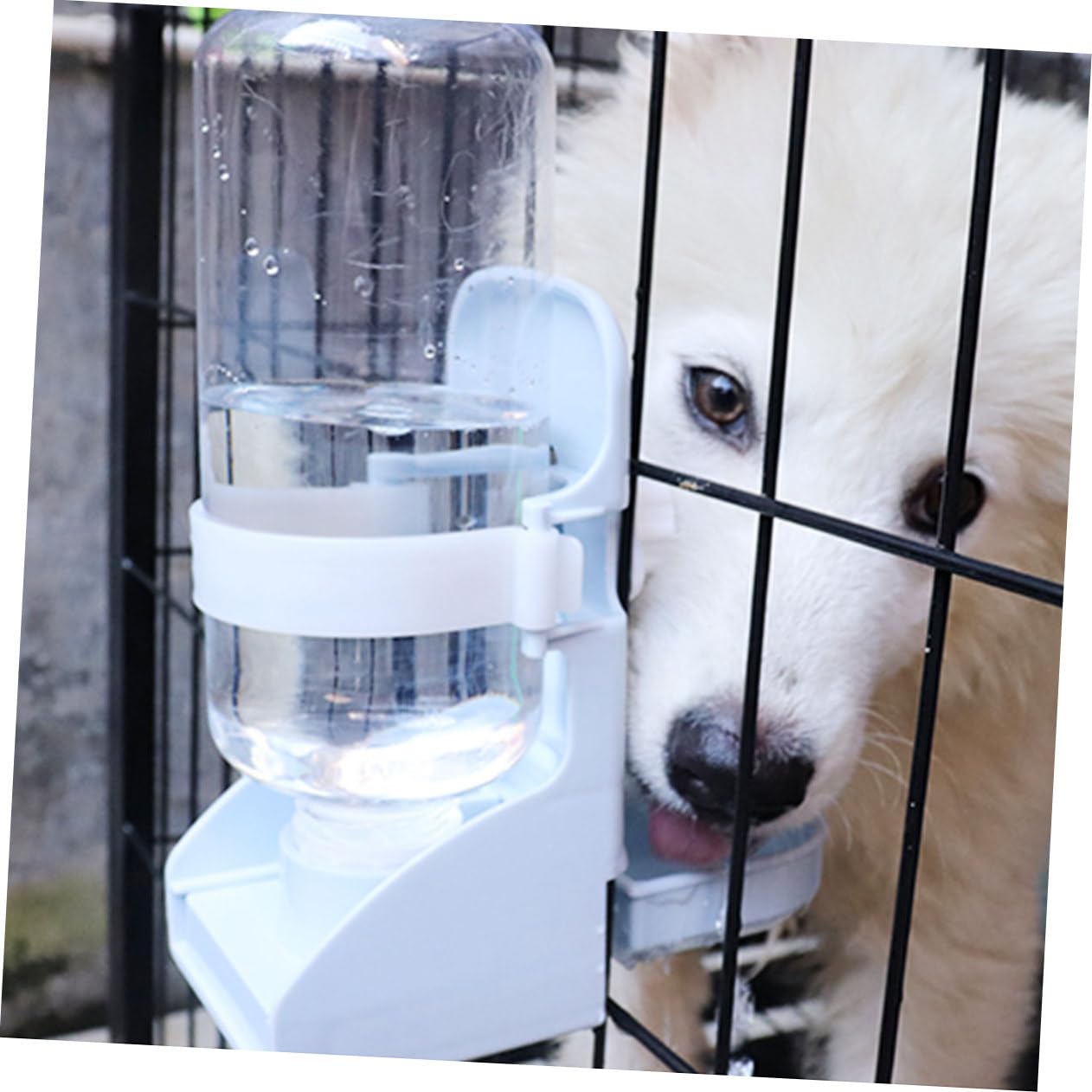 2 Piezas tazón de Agua Potable de Bebedero Hamster bebederos para pajaros Botella de Agua de Conejito dispensador de Agua para Perro Tetera Bebedero automatico para Mascotas