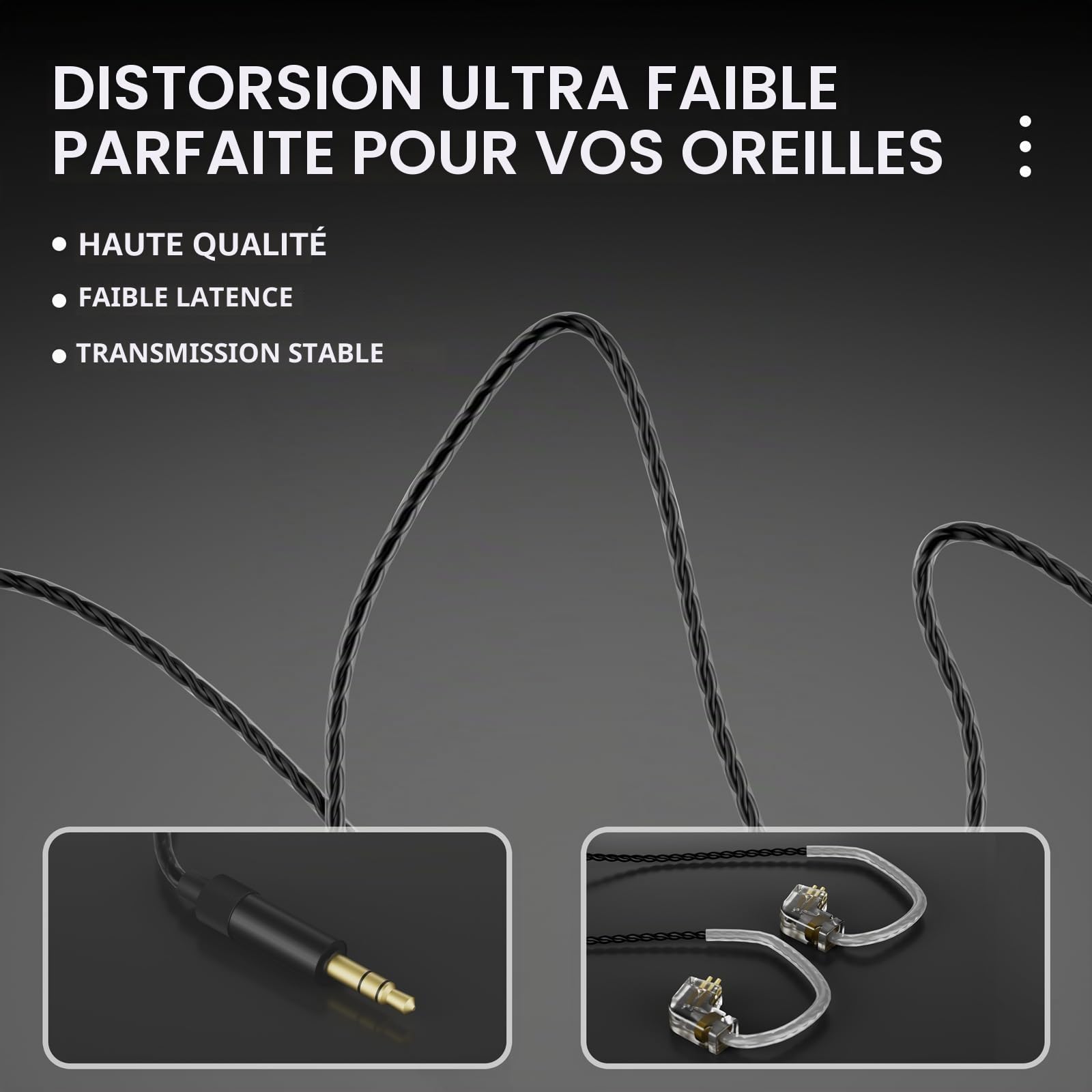 D Debra IE-210 Écouteurs IEM Hi-FI à Faible Distorsion pour Musicien, Câble Détachable 2 Broches, Isolation Phonique Passive pour Scène et Studio