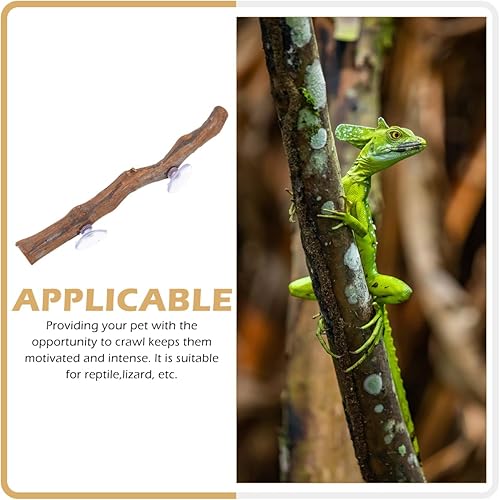 Miniatura 5 de ibasenice Soporte de escalada para reptiles dragón barbudo hábitat de madera lagarto juguete compacto ligero