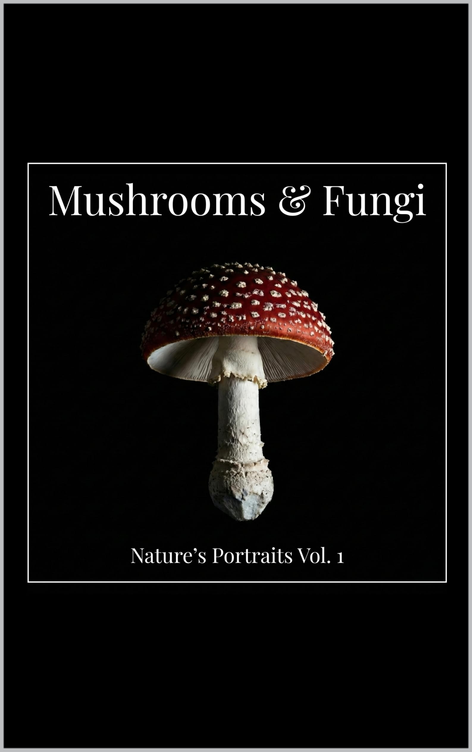 Mushrooms & Fungi Nature's Portraits Vol. 1 livre photo macro champignons