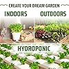 Rooted Acre 15 Variety Lettuce & Salad Greens Seeds Pack – 3,000 Heirloom 𝗡𝗢𝗡-𝗚𝗠𝗢 𝗨𝗦𝗔 Seeds for Hydroponic, Indoor & Outdoor Planting – Romaine, Arugula, Spinach, Kale & Butter Lettuce #2