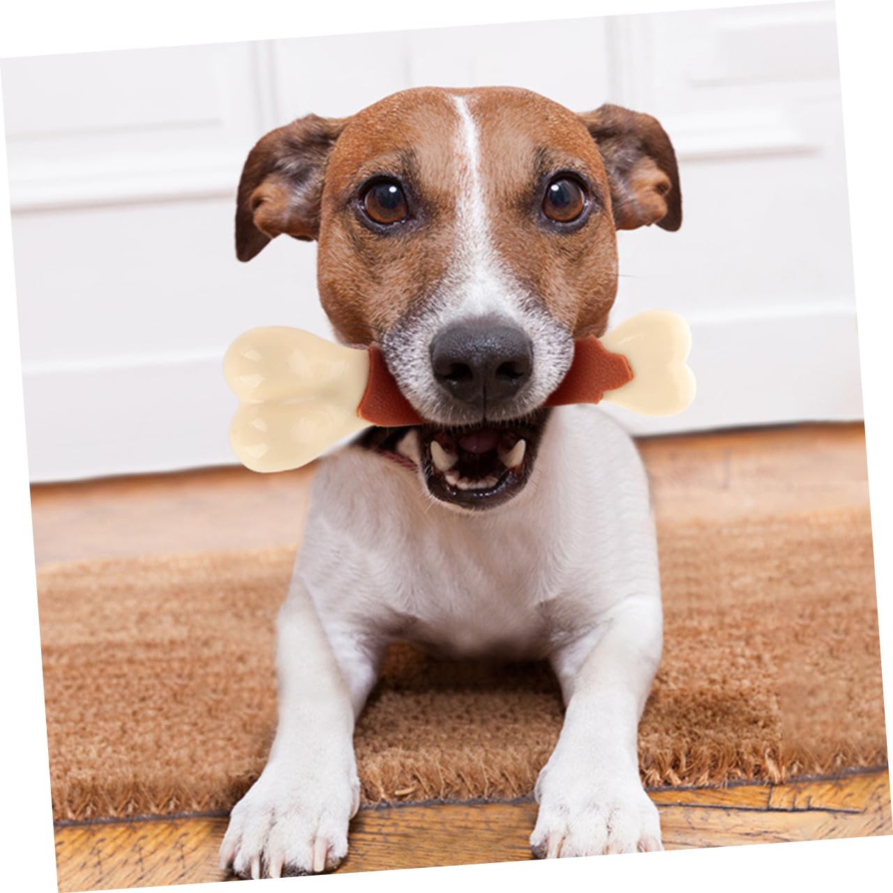 Sosoport Gioco Per Cani Per Addestramento e Pulizia Osso Masticabile Per Cani Di Grandi